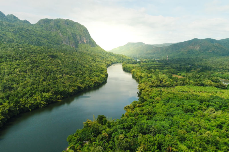 Amazonas 